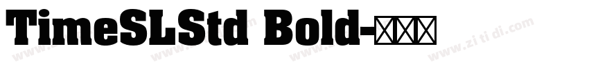TimeSLStd Bold字体转换